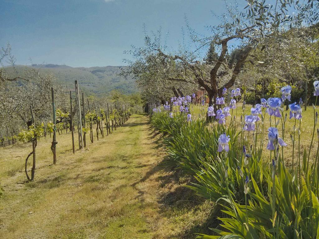 Tuscany Roses Arezzo Exterior photo