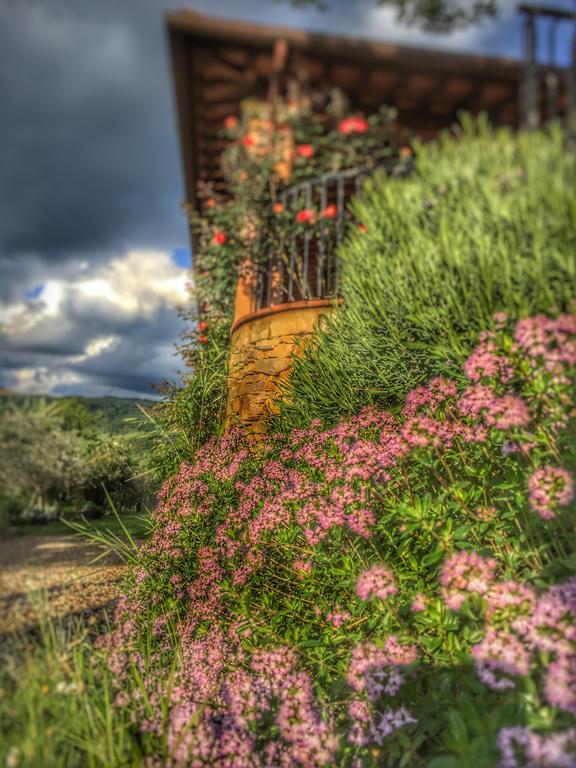 Tuscany Roses Arezzo Exterior photo